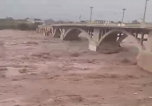 تماشای سیل، رایگان شد! + فیلم