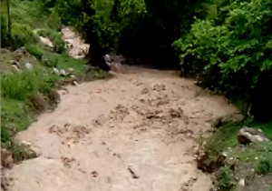 سیلاب در روستای کوهمیان + فیلم