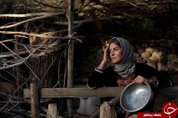مریلا زارعی در حال فروش افتخاری بلیت فیلم 