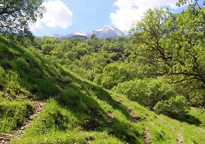 1400 هکتار جاذبه طبیعی در کهگیلویه و بویراحمد وجود دارد