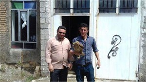 تحویل یک بهله سارگپه به یگان حفاظت محیط زیست اشنویه