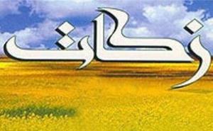 جمع آوری 11 میلیارد ریال زکات در شهرستان مرزی سلماس