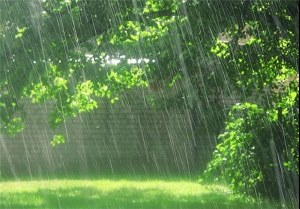 افزایش شدت بارندگی در استان