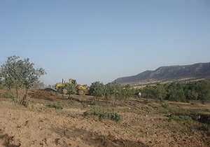 سنددار شدن اراضی موقوفه در استان اردبیل