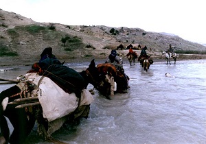 خسارت 60 میلیارد ریالی سیل به عشایر چهارمحال و بختیاری