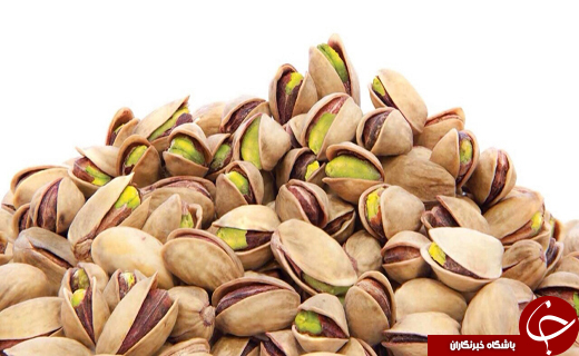 از ملی&zwnj;شدن شیشلیک طرقبه و شاندیز تا امدادرسانی به روستاهای سیل زده