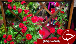برپایی نمایشگاه گل و گیاه در اراک