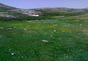 سفر مسئولان یونسکو به زیست بوم تنگ صیاد
