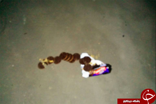 قبری برای کلوچه&zwnj;ها + تصاویر