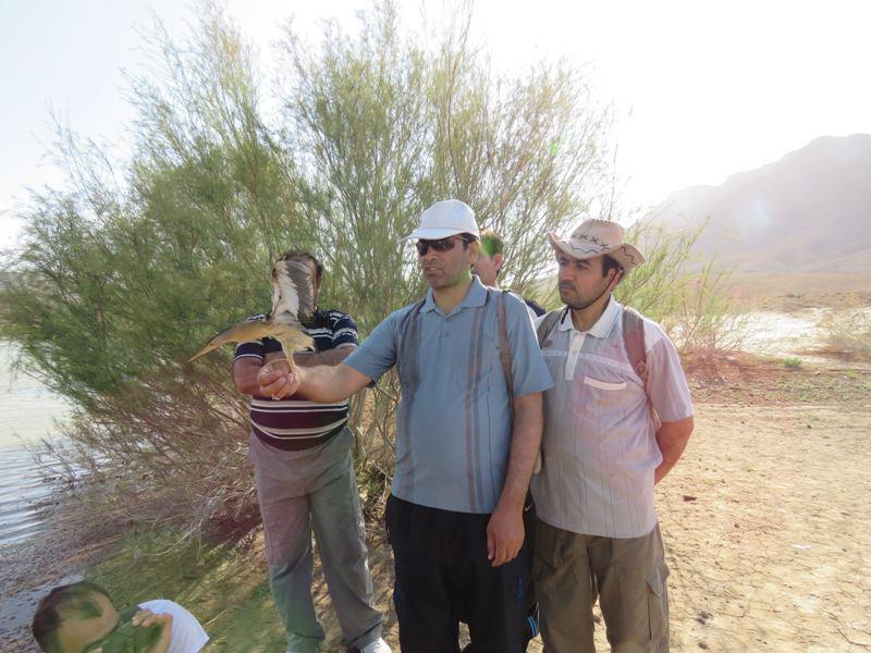تیمار 