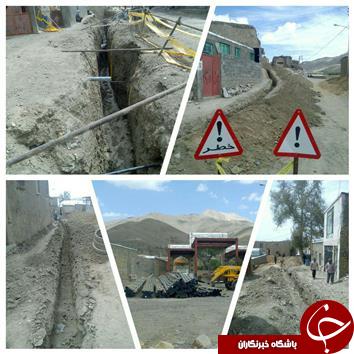 از تصویر گل رز با 6 رنگ زیبا تا شکسته شدن درخت در طوفان+تصاویر