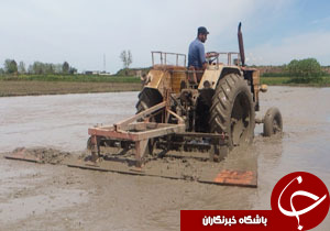 ابتکاری برای مسطح کردن شالیزار + فیلم