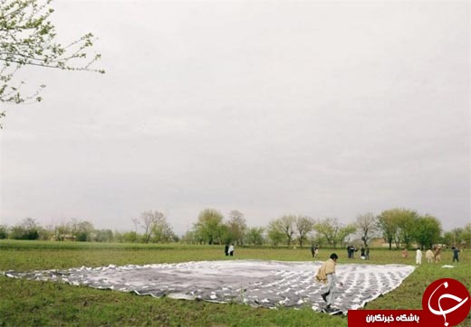 اقدام جالب هنرمندان پاکستانی برای اعتراض به بمباران پهپادهای آمریکایی