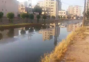 فاضلابی که از خیابان&zwnj;ها جمع نمی&zwnj;شود + فیلم