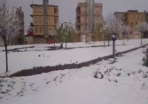 بسته