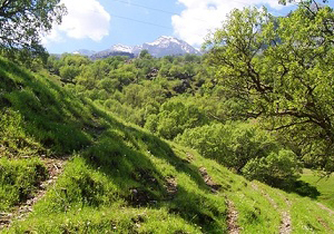 طبیعت خجسته چشم نواز مسافران خسته