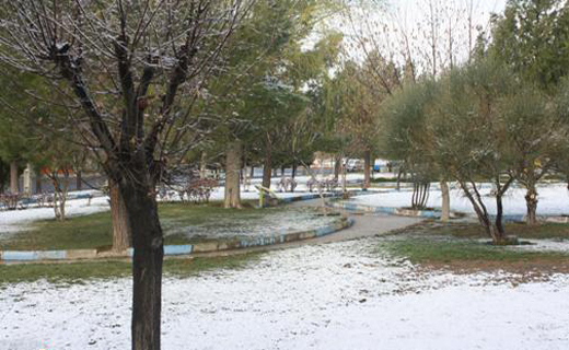 ملایر در بهار زمستانی شد+تصاویر