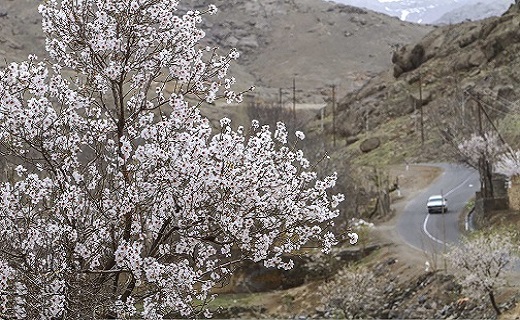 طبیعت بهاری در قم