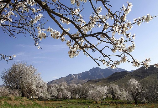 طبیعت بهاری در قم