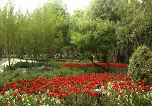 طبیعت بهاری تهران را در کدام بوستان‌ها باید دید؟