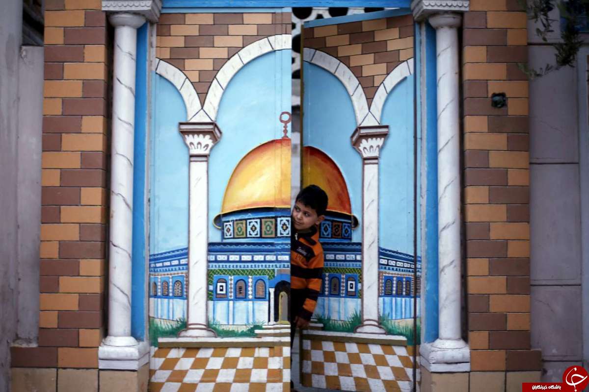 از  جشن رنگها در هندوستان تا پروانه ای که به جغد شباهت دارد