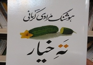 روایت‌هایی تلخ با قلمی طنز در «ته‌خیار»