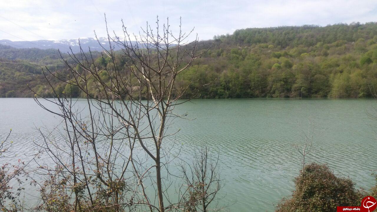 نمایی زیبا از سد لفور در فصل بهار +عکس