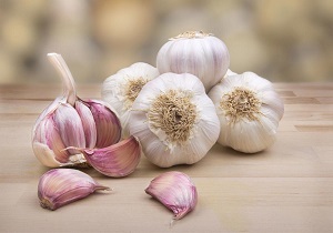 «سیر»؛ از سفره هفت‌سین تا اشعار بزرگان