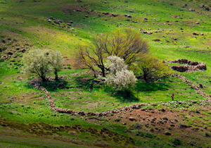 شنبه گردش سنتی دیرینه در چهارمحال و بختیاری