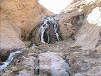 روستای سروهای1500ساله را از نزدیک ببینید