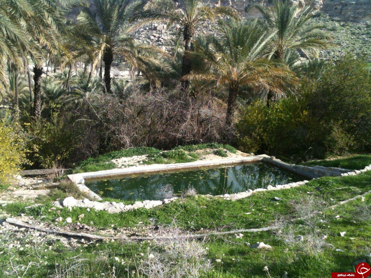 طبیعت دل&zwnj;انگیز قدمگاه + تصاویر