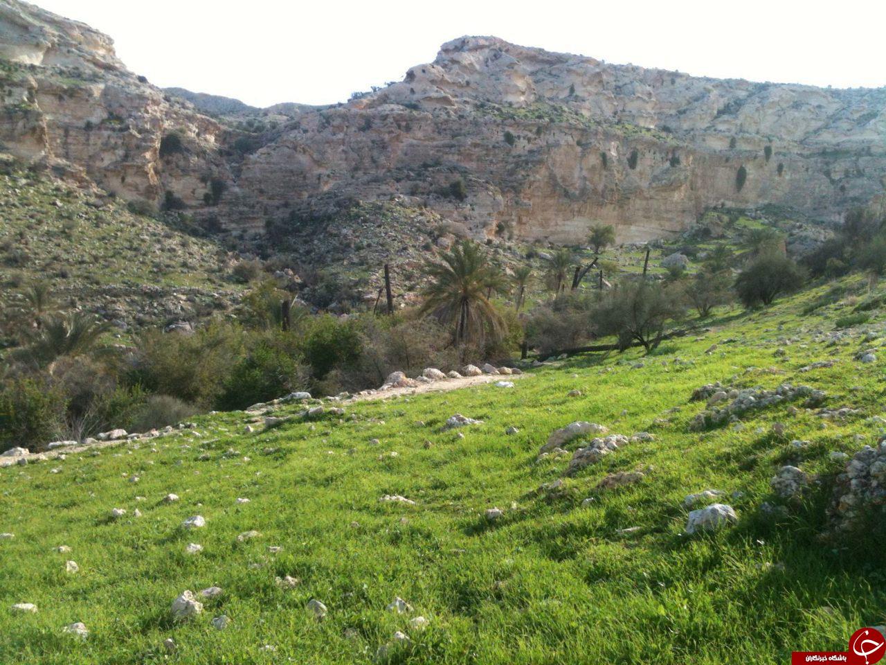 طبیعت دل&zwnj;انگیز قدمگاه + تصاویر