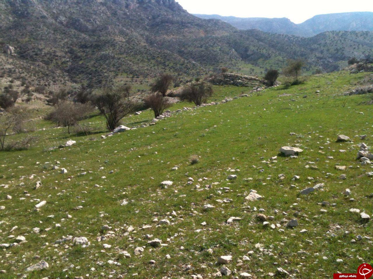 طبیعت دل&zwnj;انگیز قدمگاه + تصاویر