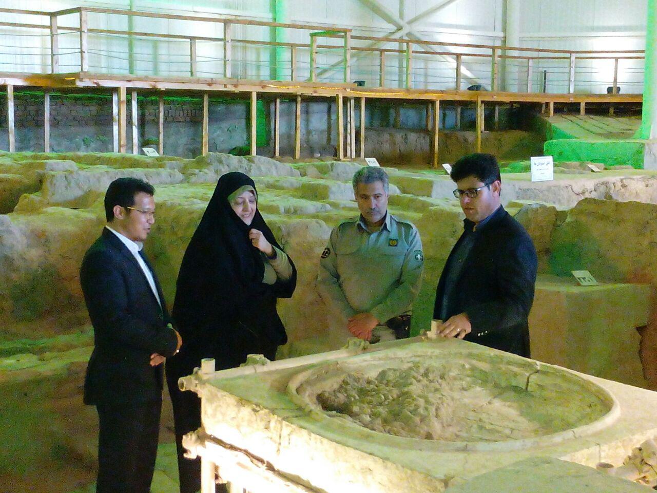 برجام حفاظت از پلنگ ایرانی روی پیشخوان دولت