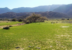 تصاویری زیبا از روستای بانوج
