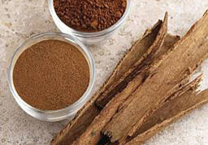 فواید مختلف گیاه دارچین که شاید در مورد آن نمی‌دانید