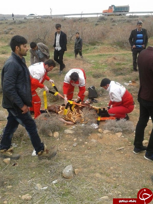 پنج مجروح در حادثه جاده سلماس – طسوج + تصاویر پنج مجروح در حادثه جاده سلماس – طسوج + تصاویر