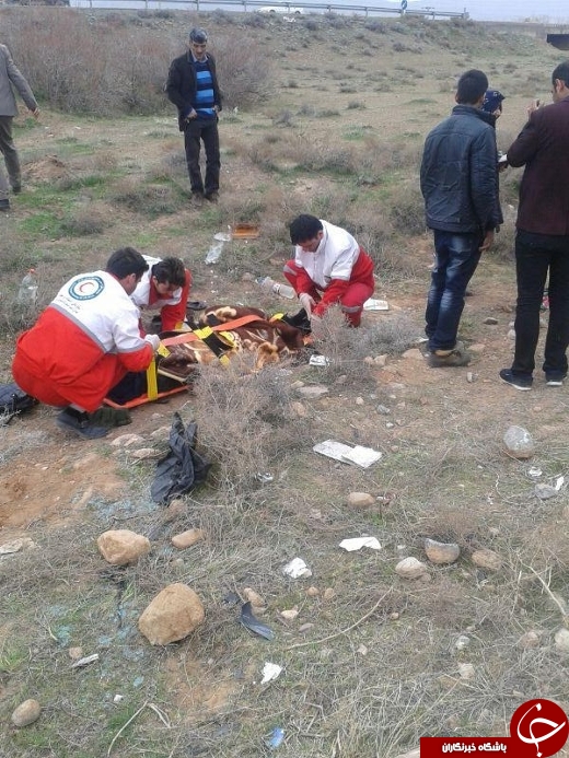 پنج مجروح در حادثه جاده سلماس – طسوج + تصاویر پنج مجروح در حادثه جاده سلماس – طسوج + تصاویر