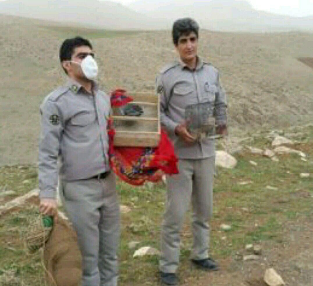 دستگیری شکارچیان وصیادان غیرمجاز در شهرستان دلفان