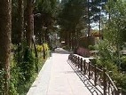 مجموعه  تفریحی شهید مطهری کرمان بهسازی می شود