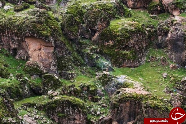 کوه عجیب مخملی در لرستان +تصاویر