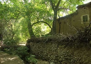 بهره برداری از میدان ورودی زردین
