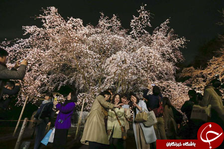 از خرابی&zwnj;های به جا مانده در شهر تدمر تا ابراز همدردی لبنان با قربانیان بروکسل