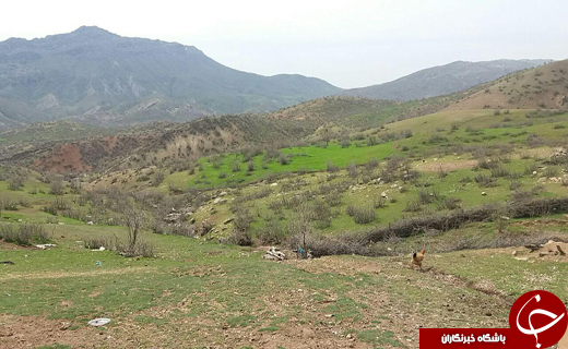 معجزه بهار در بام طبیعت ایران