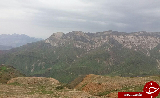 معجزه بهار در بام طبیعت ایران