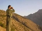 دستگیری ضارب محیط بان سیرجانی