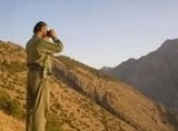 دستگیری ضارب محیط بان سیرجانی