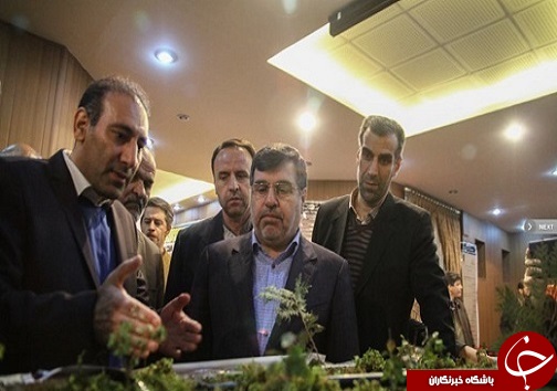 بازدید استاندار از نمایشگاه پژوهش کشاورزی
