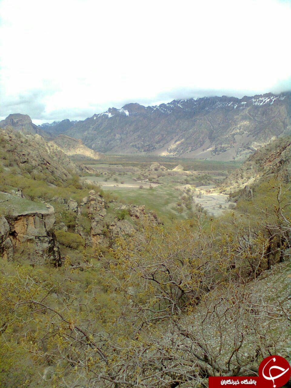 منطره ای زیبا از طبیعت کرناس + تصاویر