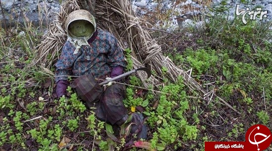 روستایی که جمعیت عروسک هایش از انسانها بیشتر است+عکس